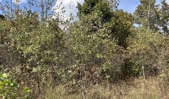 Tbd 7885 County Road 306 Pvt Drive-B, Ava, MO 65608