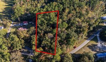 Barnes Rd, Andrews, SC 29510