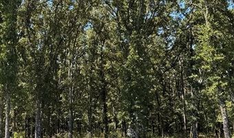 Lot 19 Saddle Creek Ct, Alba, TX 75410