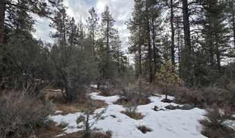 Jaguar Lane Lot 7 & 8, Bonanza, OR 97623