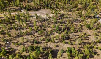 CR 2193, Alpine, AZ 85920