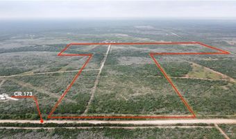 0000 County Road 173, San Diego, TX 78332