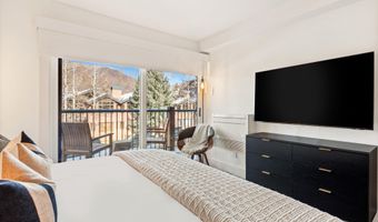 205 E Durant Ave Unit 1G, Aspen, CO 81611
