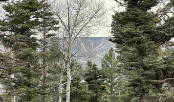 Lots 16 Lot17 Palo Flechado Ridge Road, Angel Fire, NM 87710