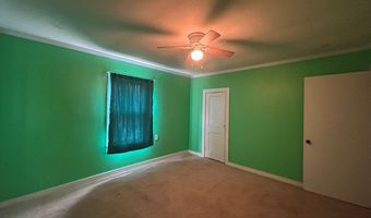 8766 Co Rd 53, Abbeville, AL 36310