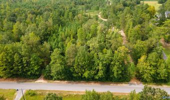 10675 29 Acres Shoal Creek Rd, Ashville, AL 35953