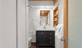 1024 E Cooper Avenue 3A, Aspen, CO 81611