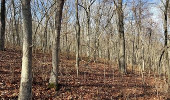 Farm Rd 1187 Lc, Ash Grove, MO 65604