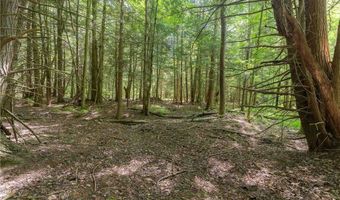 4055 Cr-15a, Angelica, NY 14709