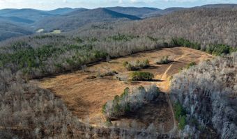 700 Acres Puncheon Creek Ln, Allred, TN 38542