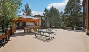 305 S Park Ave 303, Breckenridge, CO 80424