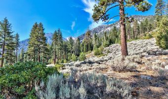 150 Summit Ridge Way, Gardnerville, NV 89460