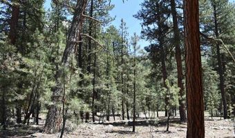 80 Ranch Rd, Bayfield, CO 81122