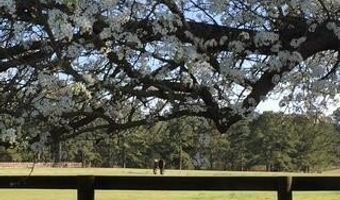 450 Addor Rd, Aberdeen, NC 28315