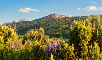 26 Bunker Loop, Aspen, CO 81611