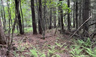 Map17-Lot 31 & 33 River Road, Bath, NH 03740