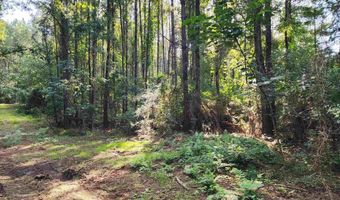 0 Lowery Rd Lot #11, Atmore, AL 36502