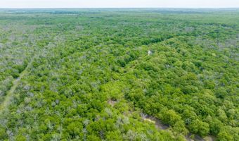 CR 4630, Annona, TX 75550