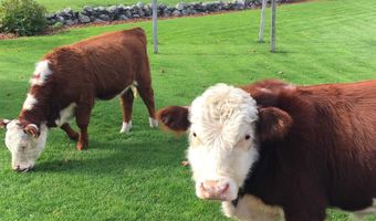 216 North Rd, Candia, NH 03034