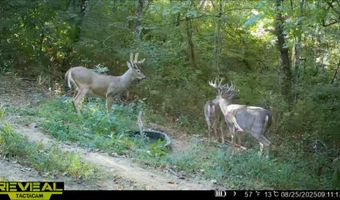 9096 State Route 41, Aberdeen, OH 45101