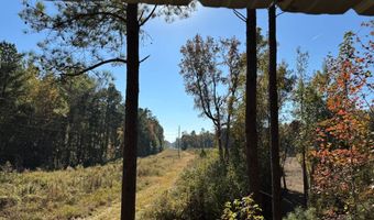 TBD Binnicker Bridge Road, Bamberg, SC 29003