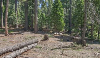 403 Sierra Pkwy, Camp Connell, CA 95223