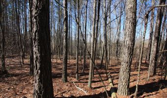 0 Highway 100, Tallapoosa, GA 30176