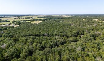 FM 1655 Trail, Alvord, TX 76225