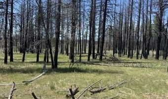 Off-Hicks Road, Bly, OR 97622