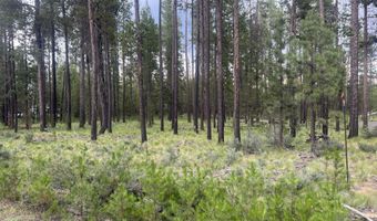 55970 Browning Dr, Bend, OR 97707