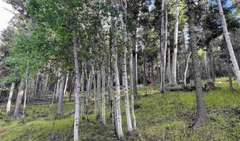 Lot 1283 Via del Rey, Angel Fire, NM 87710