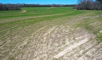 0 Tervin Mill Rd, Andalusia, AL 36421