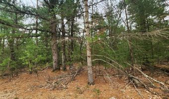Dyke Avenue lot 8, Adams, WI 53910