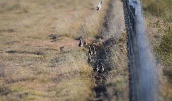 State Highway 214, Adrian, TX 79001