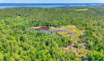 93 Acres Dell Rd, Bainbridge, GA 39819