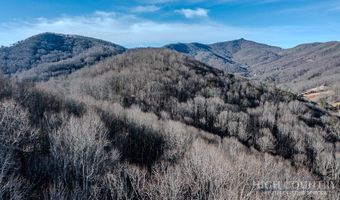 Little Tree Lane, Banner Elk, NC 28604