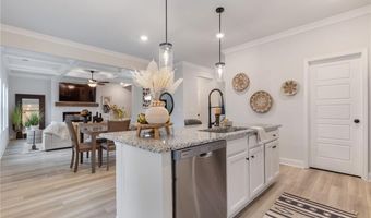 4079 Brookmont Way, Auburn, GA 30011