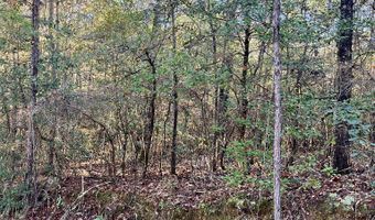 Chief Rd, Abbeville, AL 36310