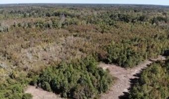 Broxton Bridge Road, Bamberg, SC 29003