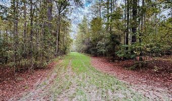 644 Ash-Harrel Loop, Abbeville, GA 31001