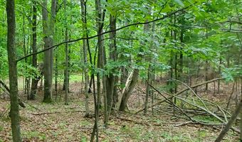 V/L 20AC Monaghan Point Road, Alpena, MI 49707