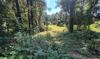 4496 State Hwy 130, Banks, AL 36005