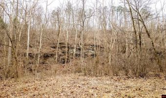 CR 19-A, Alton, MO 65606