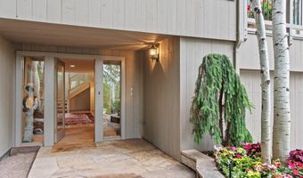 209 Larkspur Ln, Aspen, CO 81611