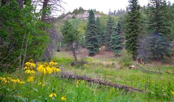 22954 Mt. Elbert Dr, Aguilar, CO 81020