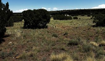 Tbd 212-12-014E, Concho, AZ 85924