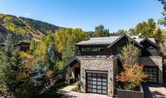 1154 E Cooper Ave B, Aspen, CO 81611