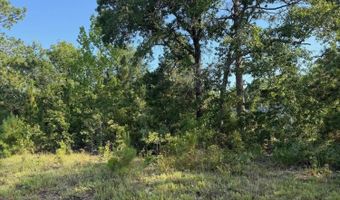0 Huckleberry Finn Rd, Batesburg Leesville, SC 29006
