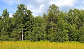 County Road Y, Aniwa, WI 54408