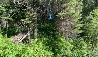 400 GROVER DRY FARM Rd, Afton, WY 83110